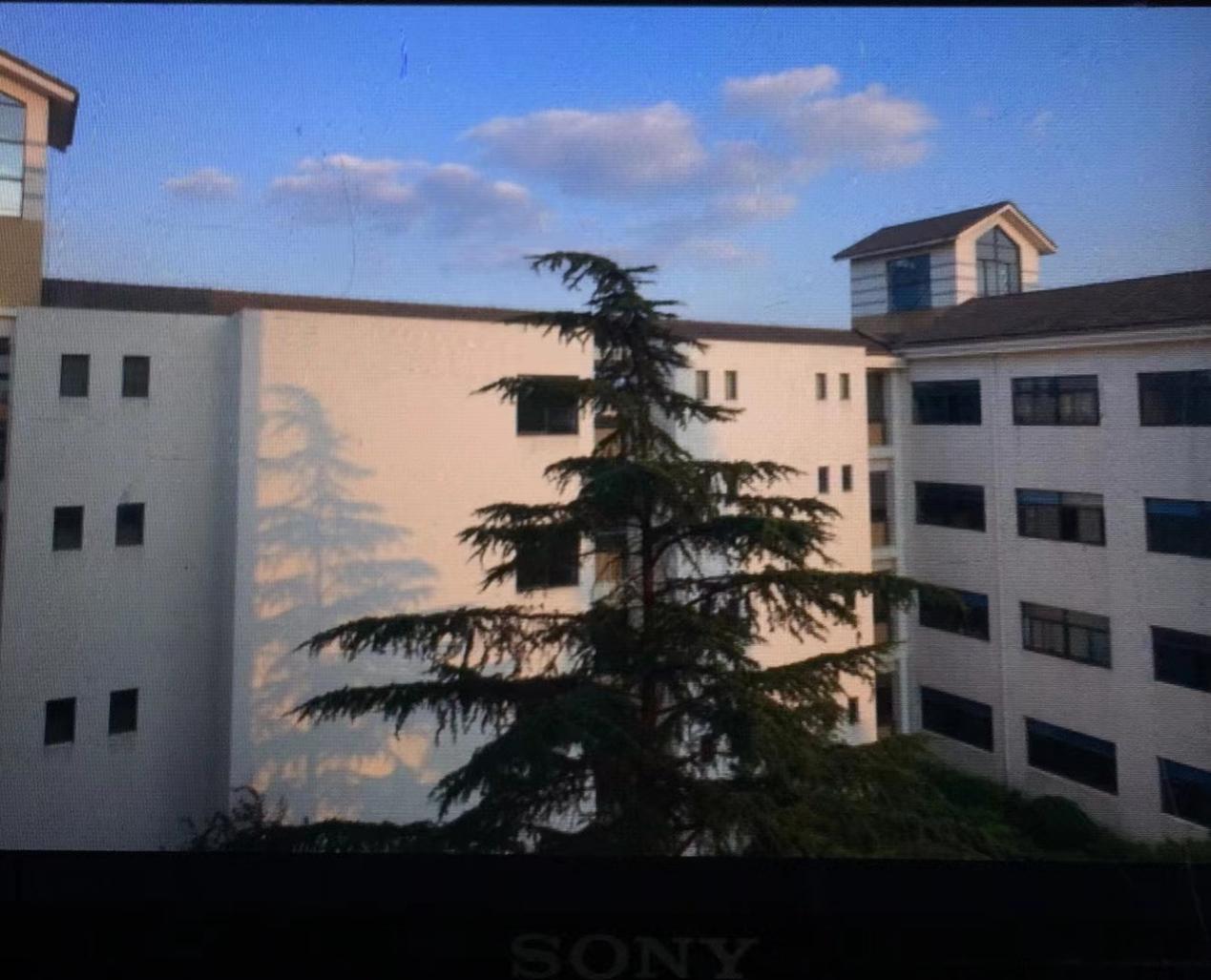 533510cf80c448af87ef8db0b97020de.Jpeg