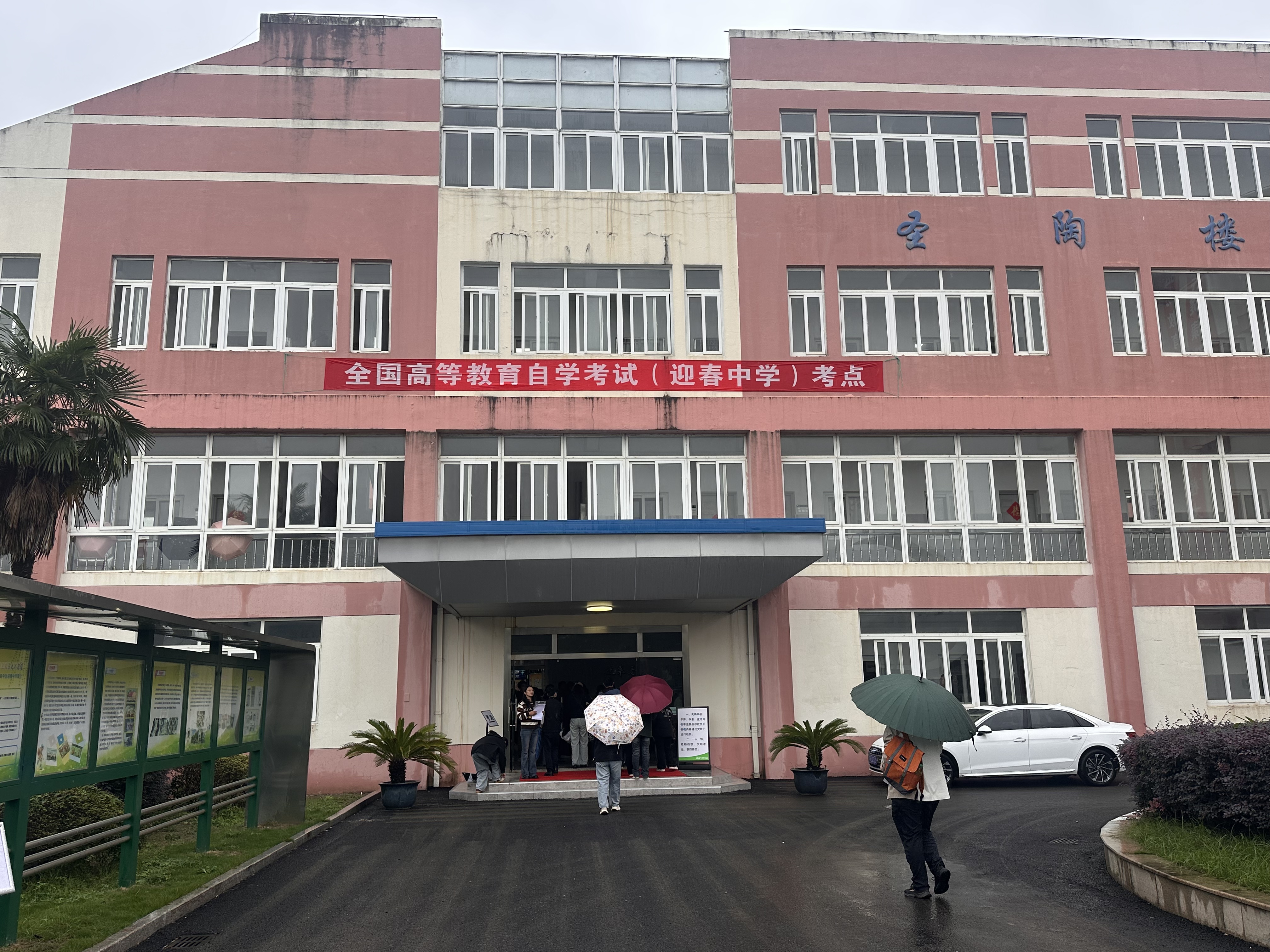 迎春1